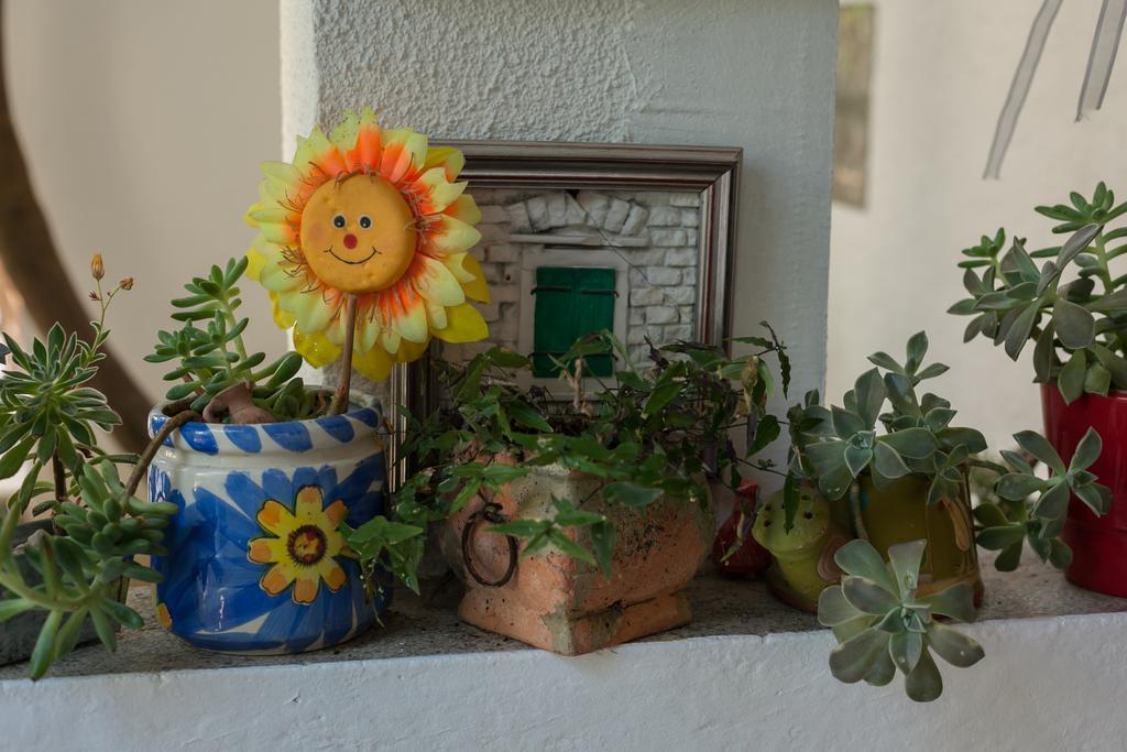 Apartment Marin Makarska
